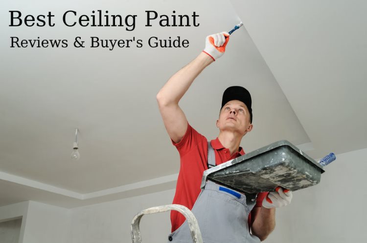 Top 9 Best Ceiling Paints 2020 Reviews And Buying Guide